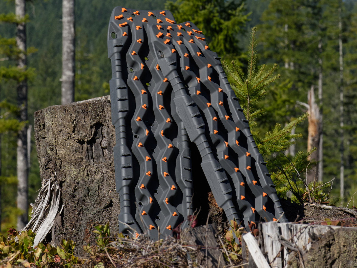 ARB TRED PRO Bergeboards (2 Stk) grau / orange